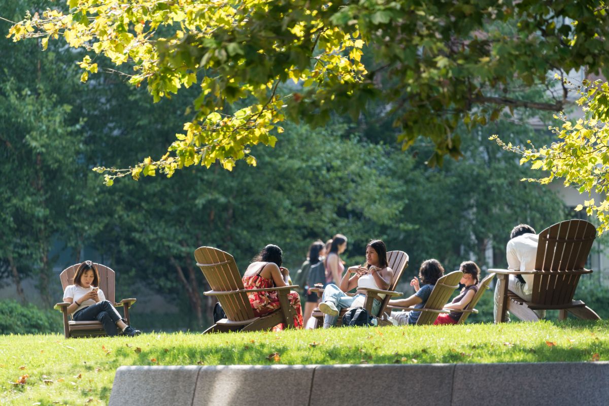 People sitting on wooden chairs in a park surrounded by green trees under sunlight.