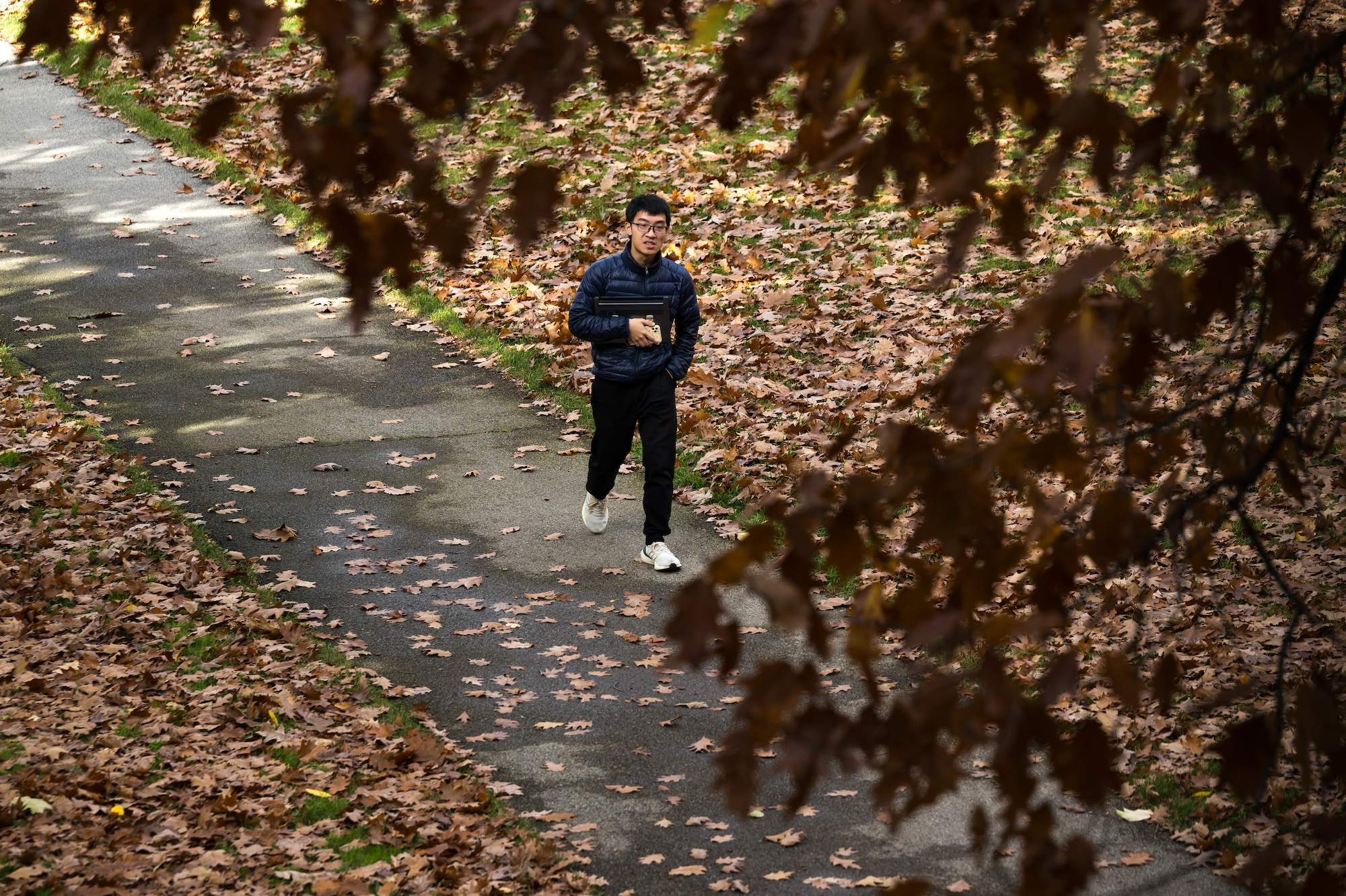 A student walks along a path through fall foliage